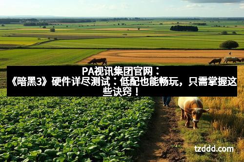 PA视讯集团官网：《暗黑3》硬件详尽测试：低配也能畅玩，只需掌握这些诀窍！